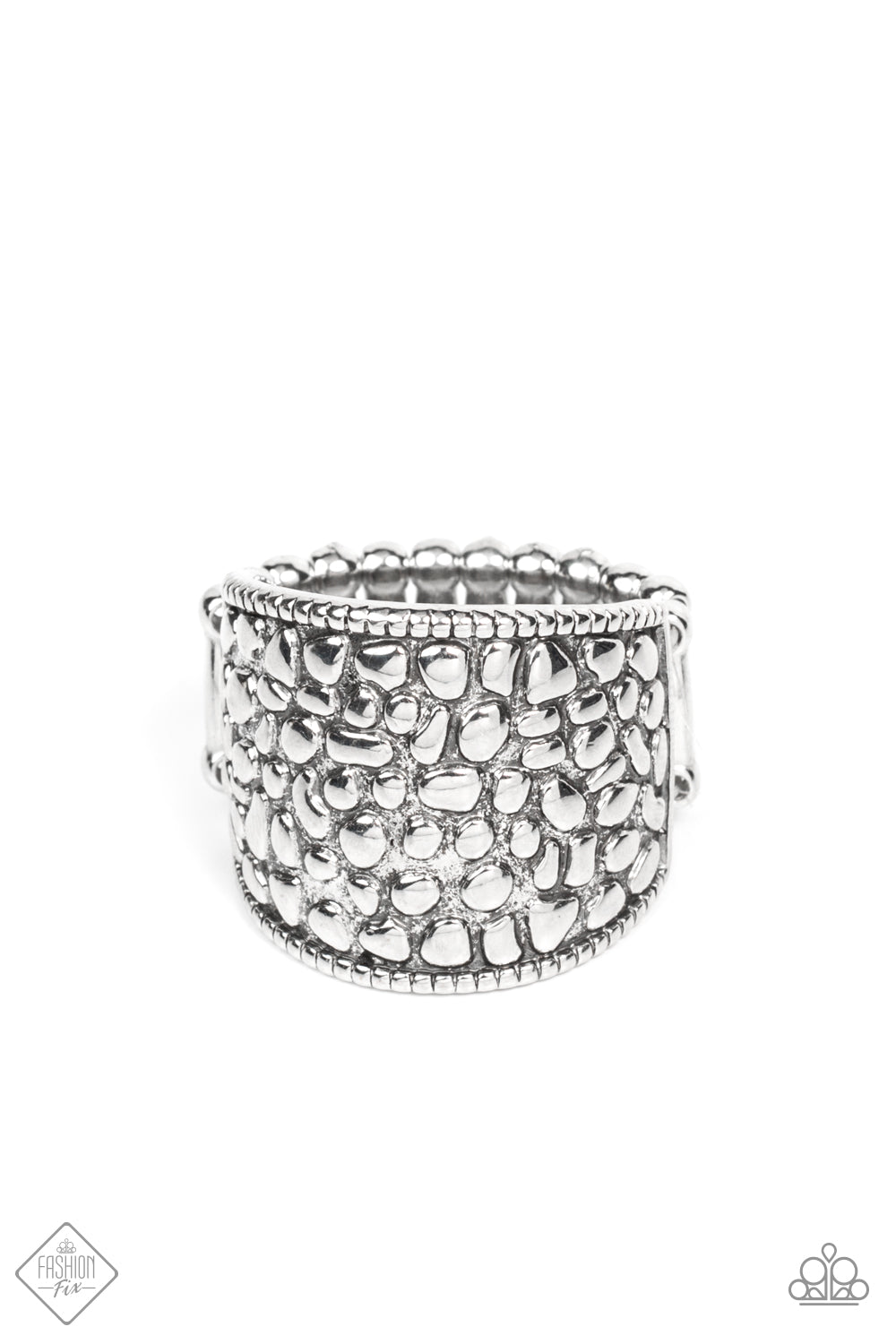 Dotted Decorum - Silver - Lauri’s $5 Bling Boutique